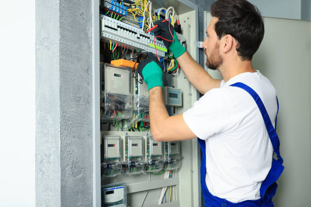 Best Residential Electrician Services  in Omao, HI